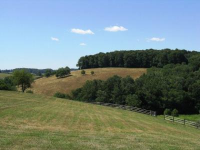 lanscape with a tree line in the distance