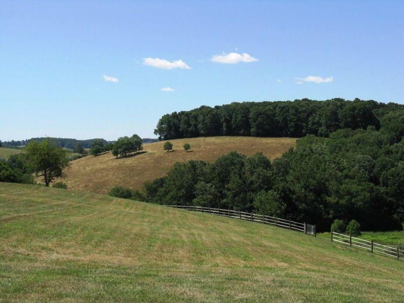 lanscape with a tree line in the distance